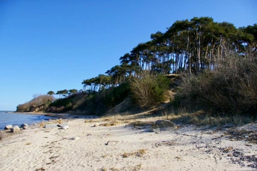 Tallskog - Dein Apartment Am Naturstrand Hohen Wieschendorf Hohenkirchen  エクステリア 写真