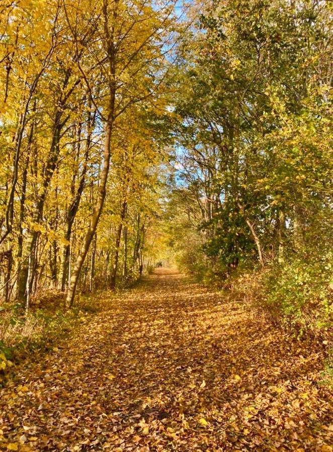 Tallskog - Dein Apartment Am Naturstrand Hohen Wieschendorf Hohenkirchen  エクステリア 写真